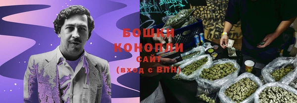 ECSTASY Богородск